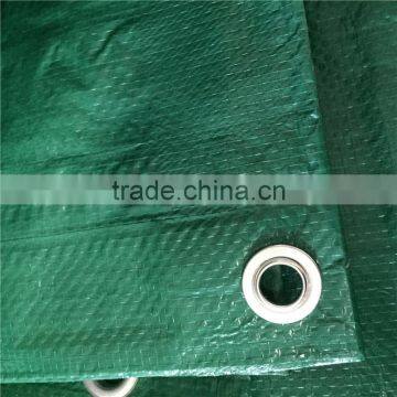 Laminated Waterproof pe Tarpaulin Vietnam photo-4