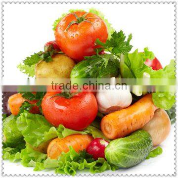 CE Electric Stainless Steel Food Vegetable Chopper Cutting Machine for Sale photo-2