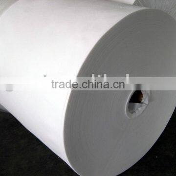 Non-Woven Fabric With Pe