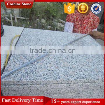 China Pearl Flower Grey Light Granite G383