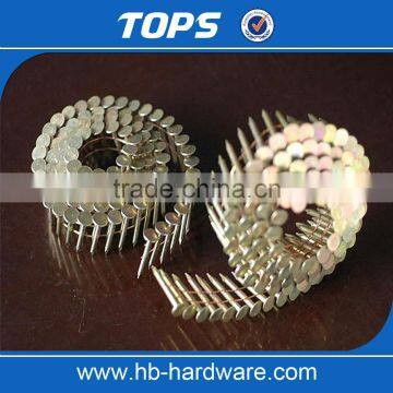 Hot Sale Factory Price Coil Roofing Nail Made in China photo-3