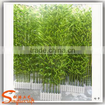 China Supplier New Product Bamboo Price Plastic Lucky Bamboo Plants for Sale photo-5