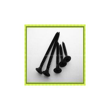 galvanized philipis bugle head drywall screw manufactory