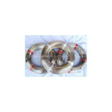 Annealed SUS304 316Stainless Steel Spring Wire