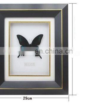 Nature Real Butterfly Frame Home Decoration Craft photo-3