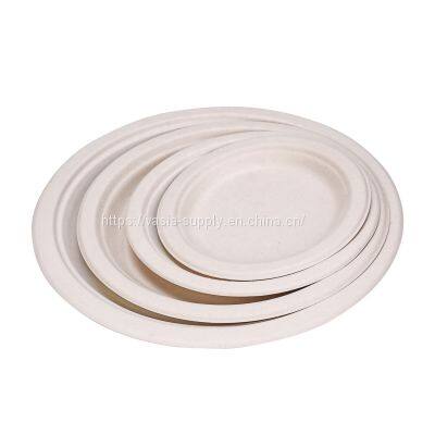 23cm 9 inch Eco friendly Sustainable Wholesale Shrinking Package Sugarcane Pulp Round Plates Biodegradable Bagasse Plates