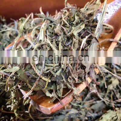 Pure Dried Dandelion Leaves for Herbal Tea/ Organic Pure Dried Dandelion Leaves From Vietnam photo-3