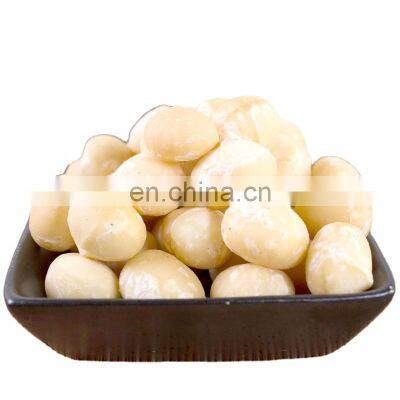 standard process private label affordable price import nuts gifts  macadamia roasted nuts