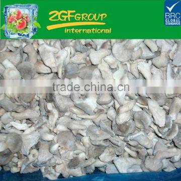 Chinese Grade A IQF Frozen Baby Oyster Mushroom