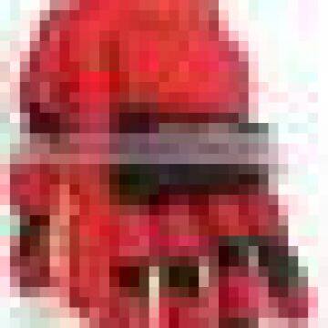 Roller Hockey Gloves photo-2