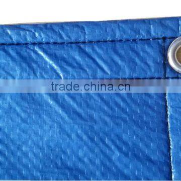 Chilly Weather Proof pe Tarpaulin Foam Tarp Sheet for Harvest Cover