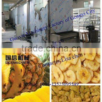 high efficiency vegetable and fruit drying machine for sale