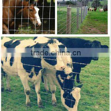 hot sale special high quality cattle fence in 2014