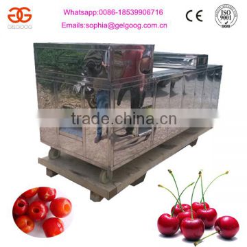 Cherry Seed Removing Remove Machine Cherry Pitting Machine