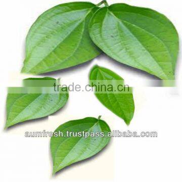 Betel Leaf powder