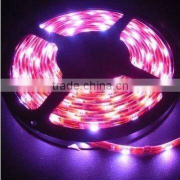 hot sale led rope light