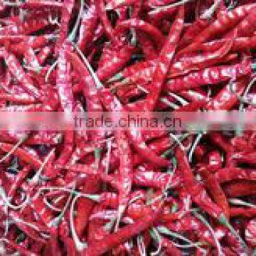 Red Chilli From INDIA