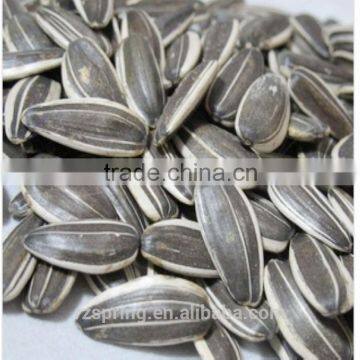 BLACK SUNFLOWER SEEDS photo-4
