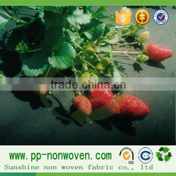Black Nonwoven Fabric Organic Agriculture in Weed Control Cover photo-4