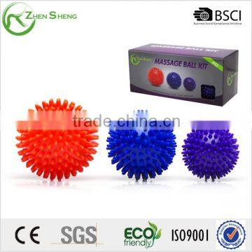 Zhensheng massage ball set