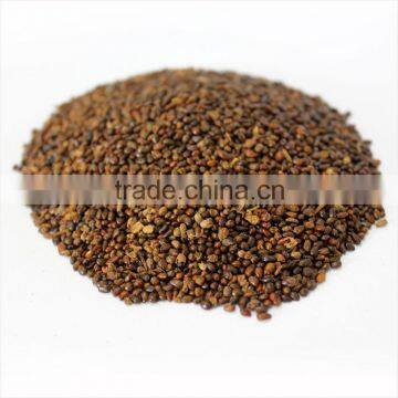 Supply Natural Seabuckthorn Seed Oil Capsules Softgel Herbal Products Wholesaler Supply Hippophae Rhamnoides Oil Health Power Ca
