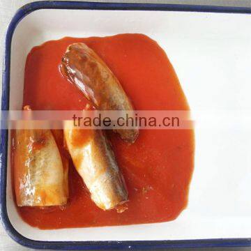 norway mackerel fish in tomato sauce