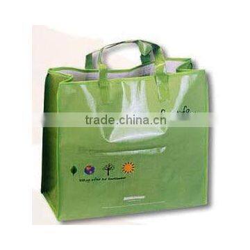 Reusable PP Woven Shopping Bag(KL08S017)