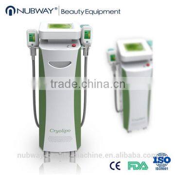 2015 Cryolipolysis High Quality Schlank Gefrierschrank Gewichtsverlust Kryo Lipo