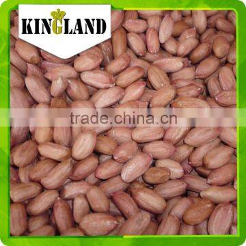 bulk peanut kernel