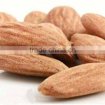 Largueta Almond (Llargueta Spanish Almond)