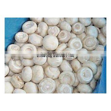 Highquality frozen IQF champignon