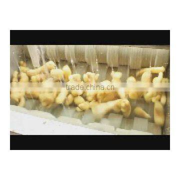MSTP-80 Potato Carrot Vegetable Root Washing and Peeling Machine photo-5