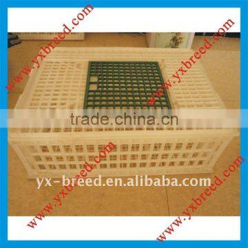 poultry plastic tote box