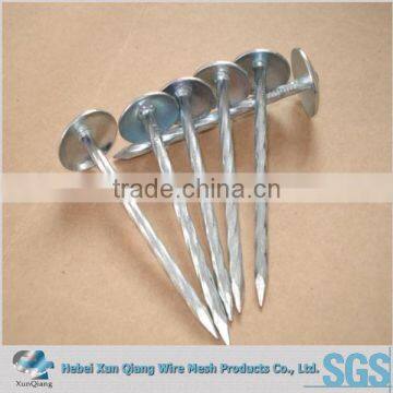 Assembled Roofing Nails with washer