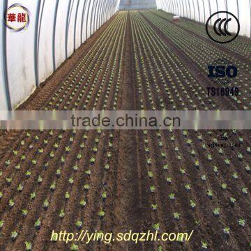 2ZBZ-2A Self-propelled Vegetable Transplanting Machine Vegetable Transplanter photo-5