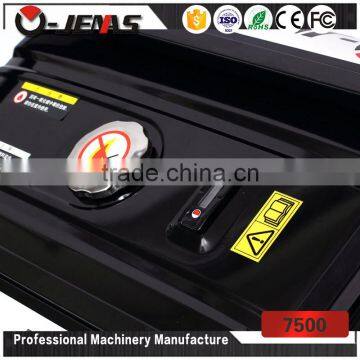 Ojenas Top Quality 7500 Oem Size Generator photo-6