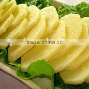 Garlic Slicer Machine photo-4