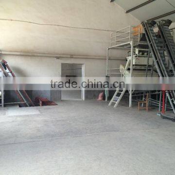 Peanut CCD Color Sorting Line photo-3
