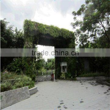 2017 Hot Sale SJZWQ-04 Outdoor Artificial Fake Green Fake Wall photo-3