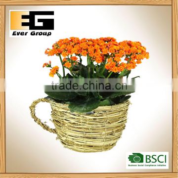 Natural rattan teapot for garden planter