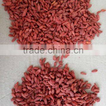 2016 New Natural Goji Berry/ Wolf Berry/gouqi photo-2