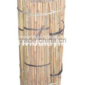 Tonkin bamboo canes LOW PRICE