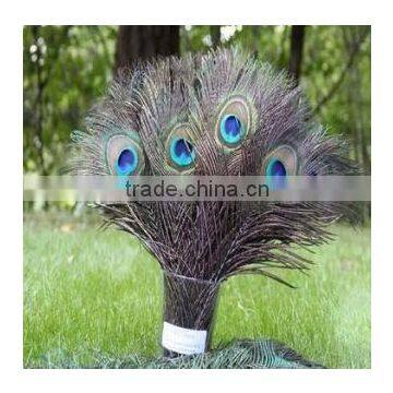 Peacock Eye Tail Feather For Accessory DIY Masquerade Decoration Party Dress