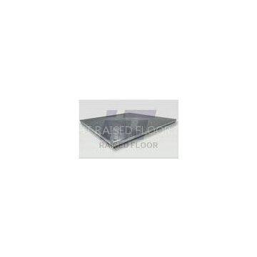 Encapsulated Calcium Sulphate Raised Floor Customized For Serve Room