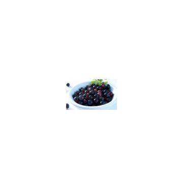 supply 4:1 10:1 20:1 acai berry extract