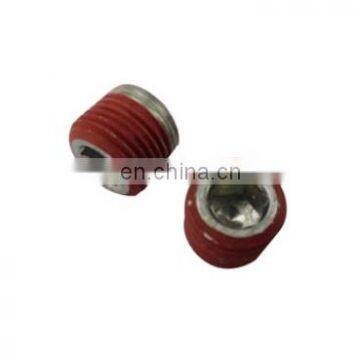 Diesel Engine ISM11 M11 K19 KTA19 Spare Parts Pipe Plug 3008465 3008466 3008468 3008469 3008470 photo-2