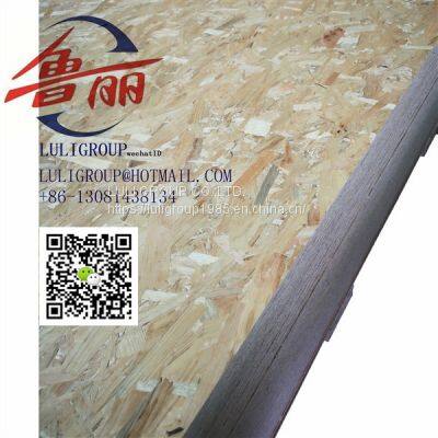 Luliwood Osb5 photo-3