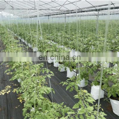 Environmentally friendly 0.07-0.15mm thickness Nursery Grow Bags plant nursery bag