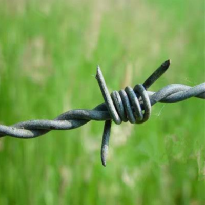 Aplicações em prisões de proteção de segurança. Arame farpado para gado galvanizado.