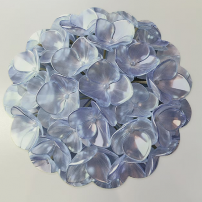 absorbent -water standing printable  kichen rugs